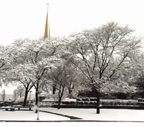 Campus with snow