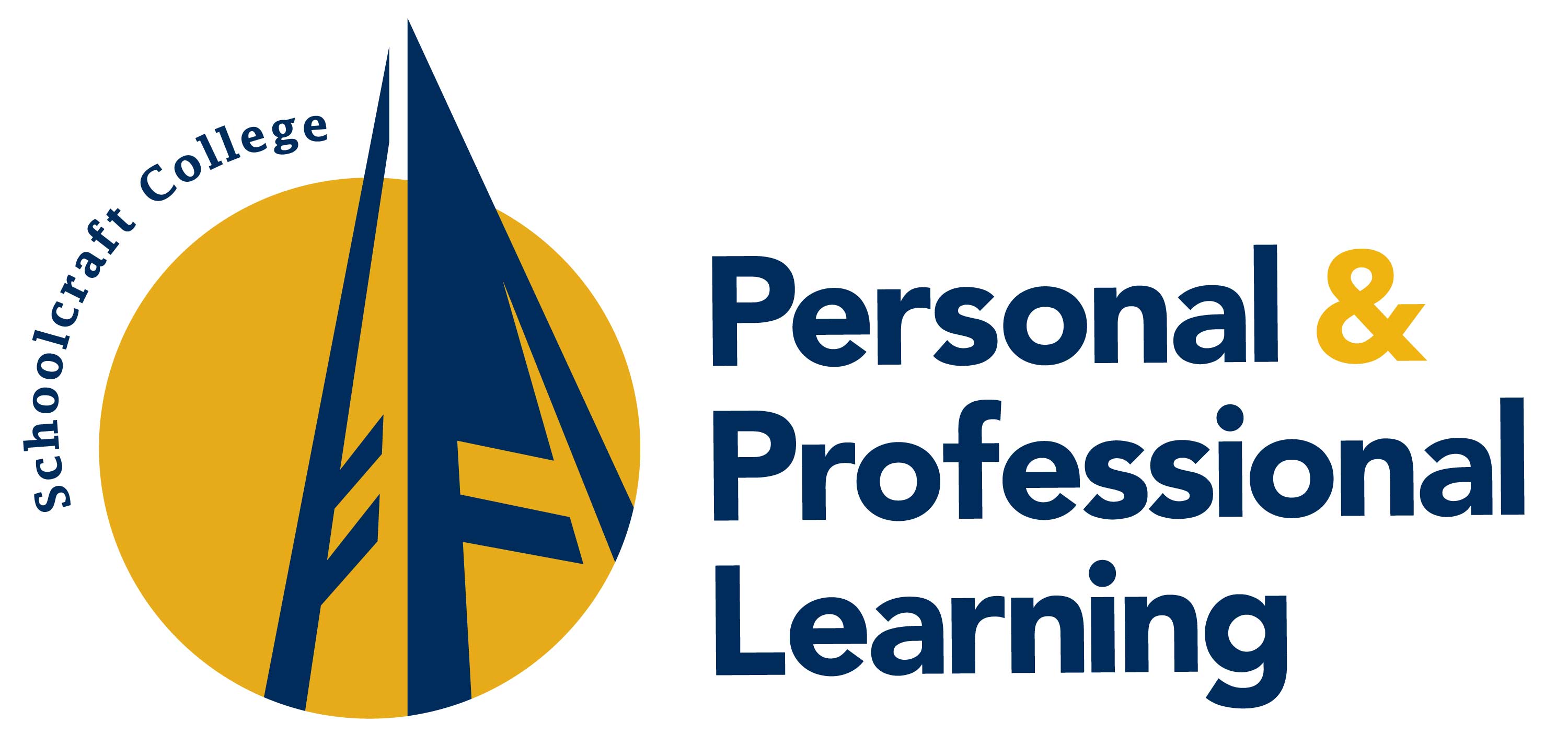 Personal and Professional Learning