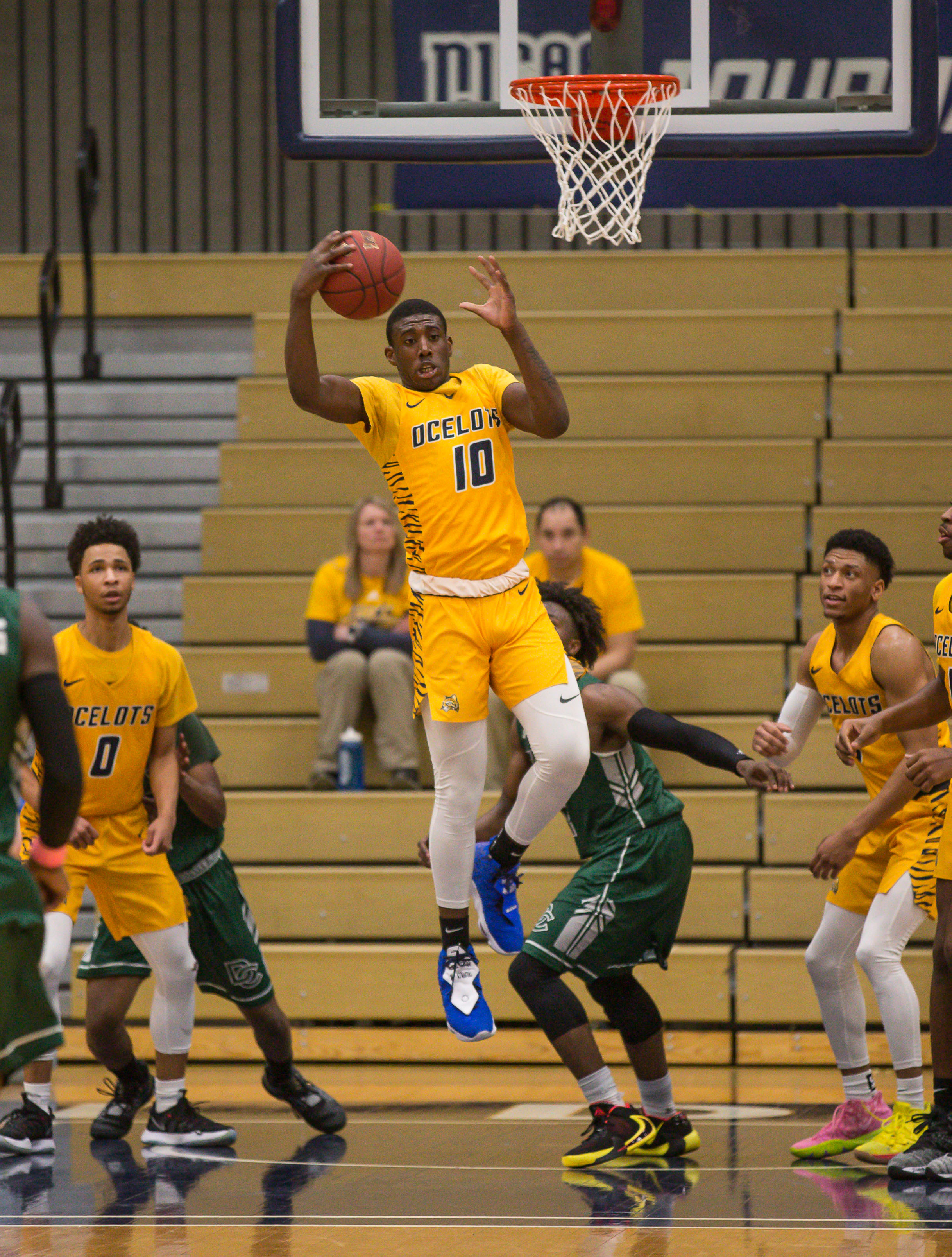 Schoolcraft's Quarion Cole snags a rebound