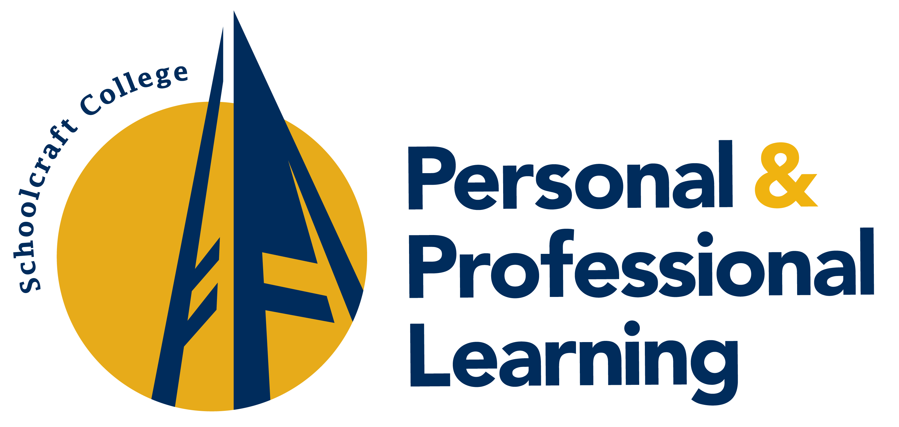 Personal and Professional Learning