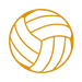 icon-y-volleyball