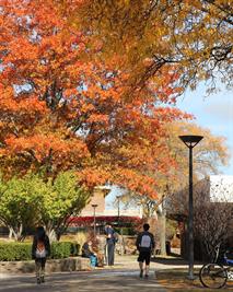 Students on campus in autumn